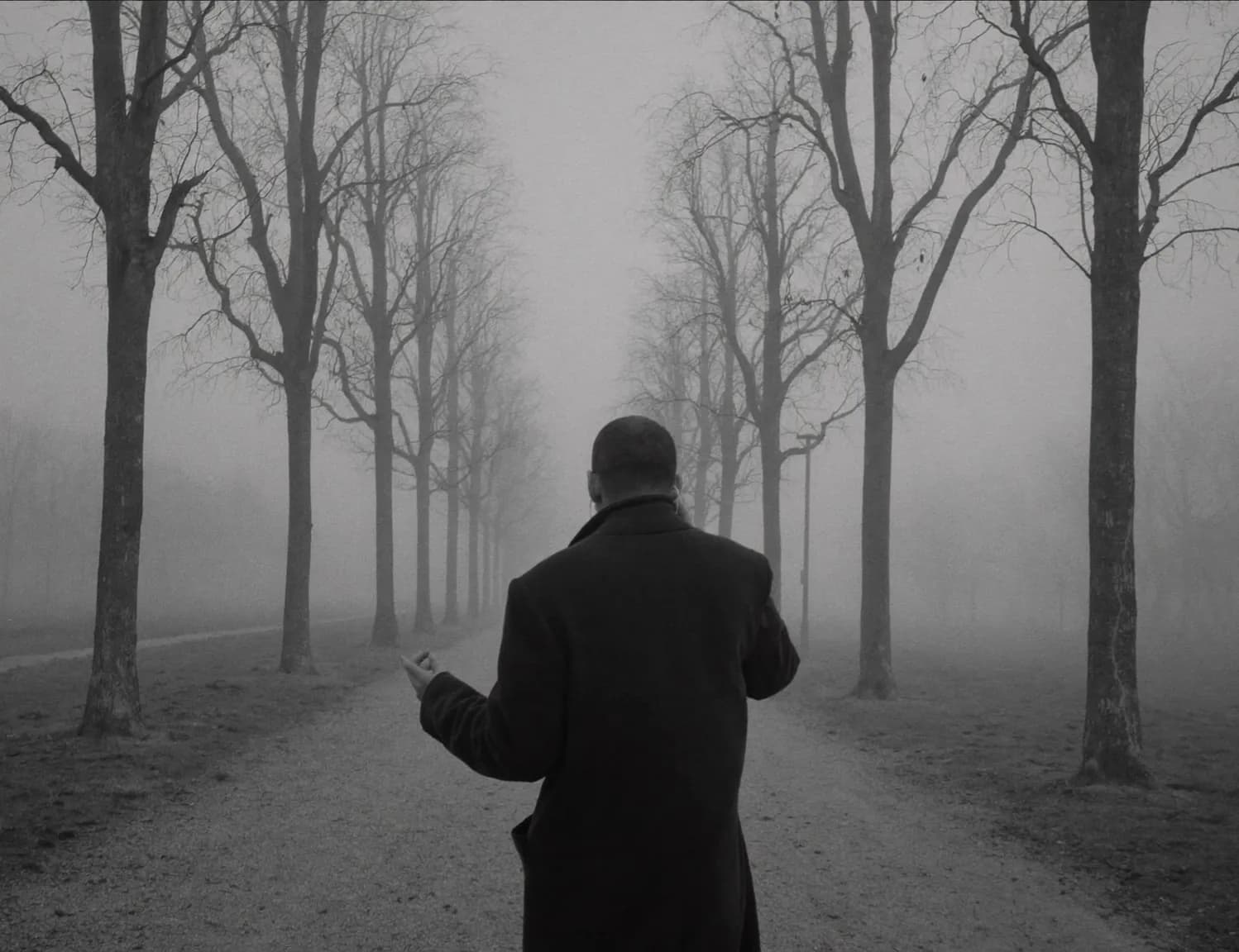 A man in a coat on a phone call, walking down a misty tree-lined path